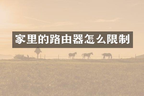 家里的路由器怎么限制