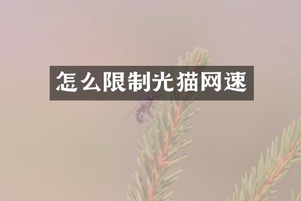 怎么限制光猫网速