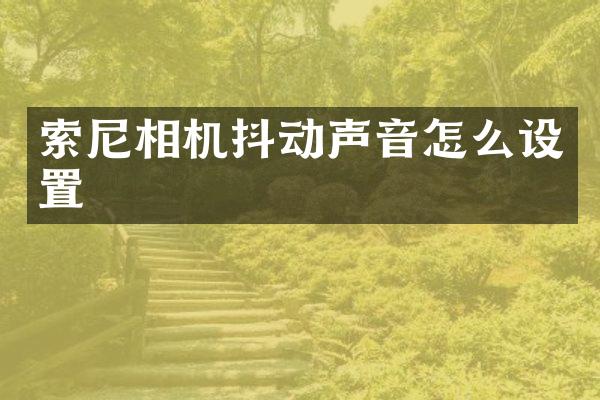 索尼相机抖动声音怎么设置