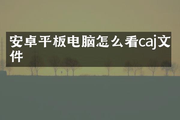 安卓平板电脑怎么看caj文件