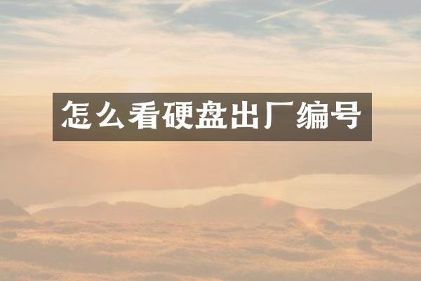 怎么看硬盘出厂编号