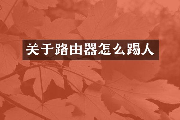 关于路由器怎么踢人