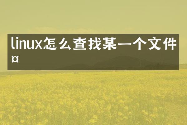 linux怎么查找某一个文件夹