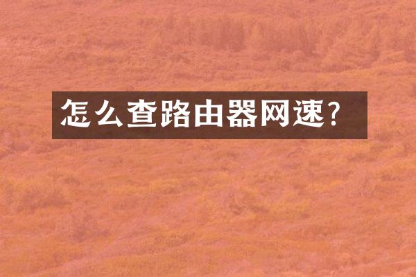 怎么查路由器网速?