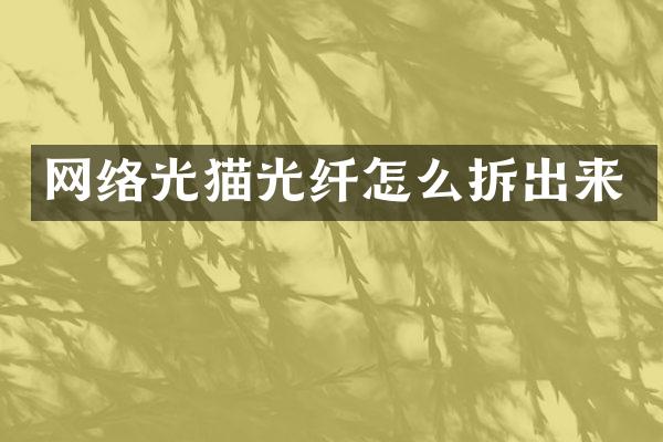 网络光猫光纤怎么拆出来