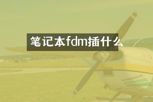 笔记本fdm插什么