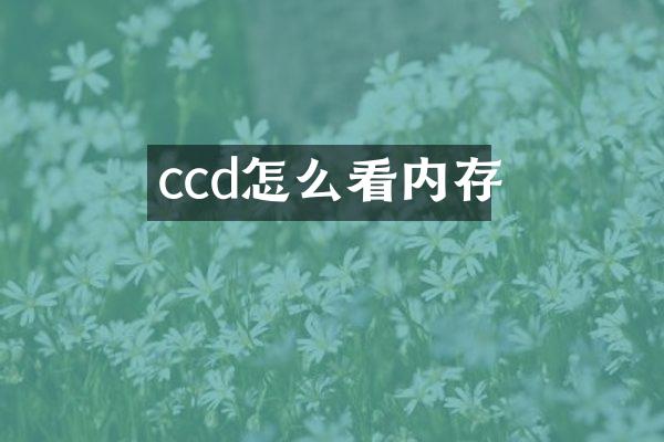 ccd怎么看内存