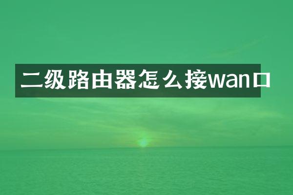 二级路由器怎么接wan口