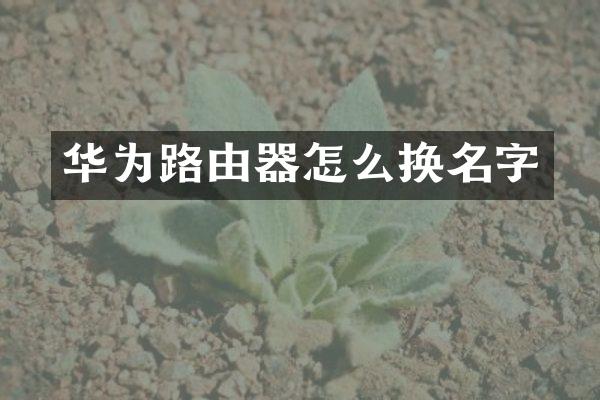 华为路由器怎么换名字