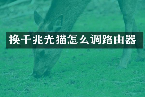 换千兆光猫怎么调路由器