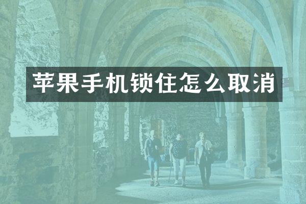 苹果手机锁住怎么取消