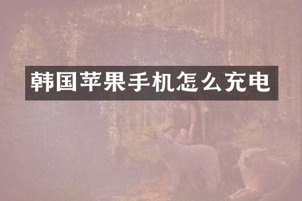 韩国苹果手机怎么充电