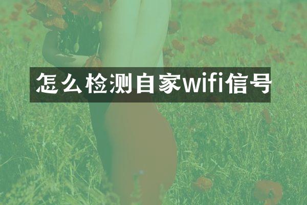 怎么检测自家wifi信号