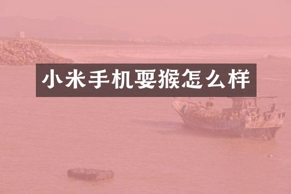 小米手机耍猴怎么样