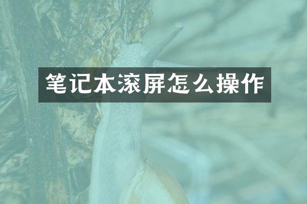 笔记本滚屏怎么操作