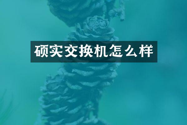 硕实交换机怎么样