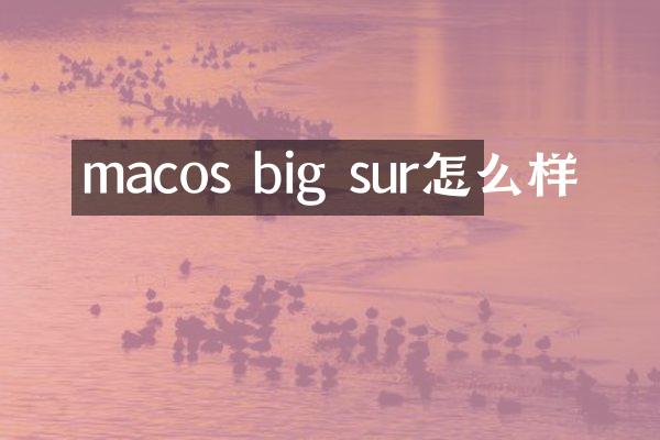 macos big sur怎么样