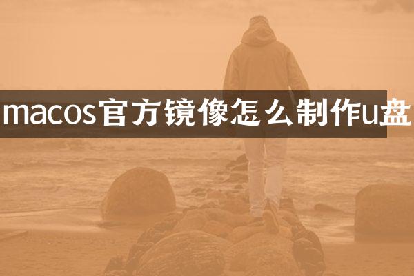 macos官方镜像怎么制作u盘