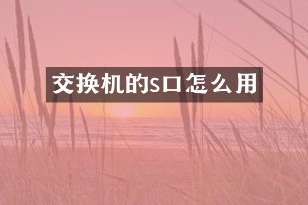 交换机的s口怎么用