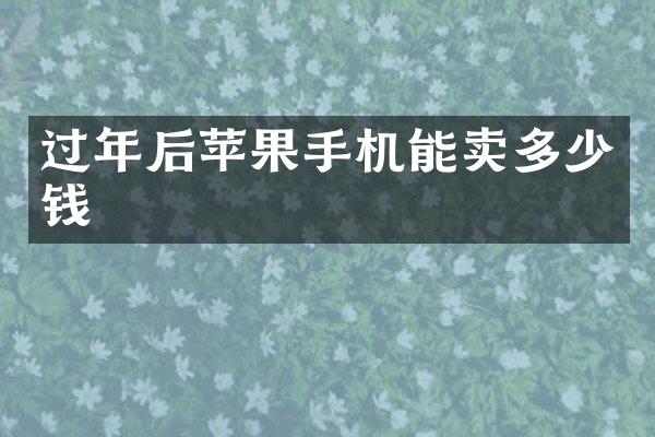 过年后苹果手机能卖多少钱