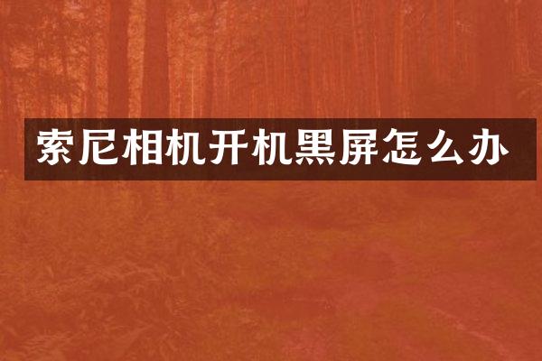 相机开机黑屏怎么办