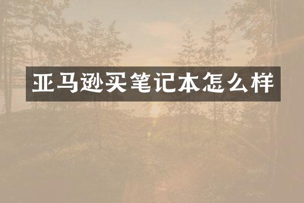 亚马逊买笔记本怎么样