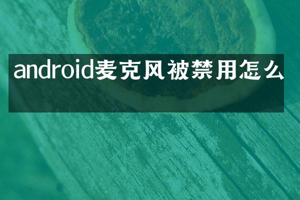 android麦克风被禁用怎么办