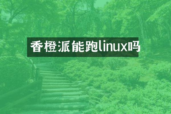 香橙派能跑linux吗
