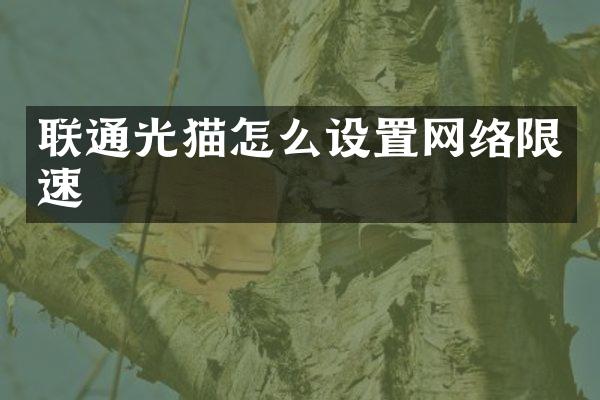 联通光猫怎么设置网络限速