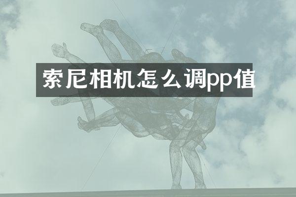 相机怎么调pp值
