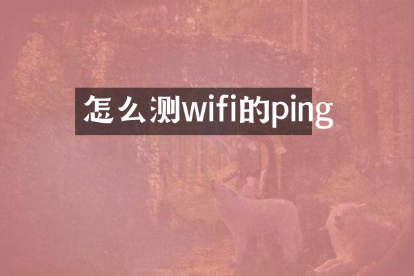 怎么测wifi的ping