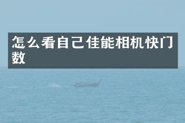 怎么看自己佳能相机快门数