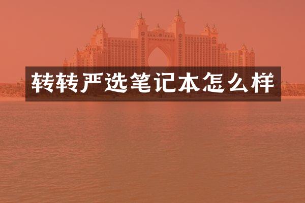 转转严选笔记本怎么样