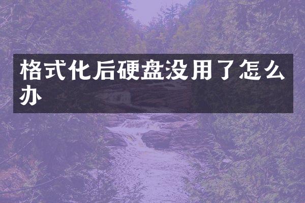 格式化后硬盘没用了怎么办