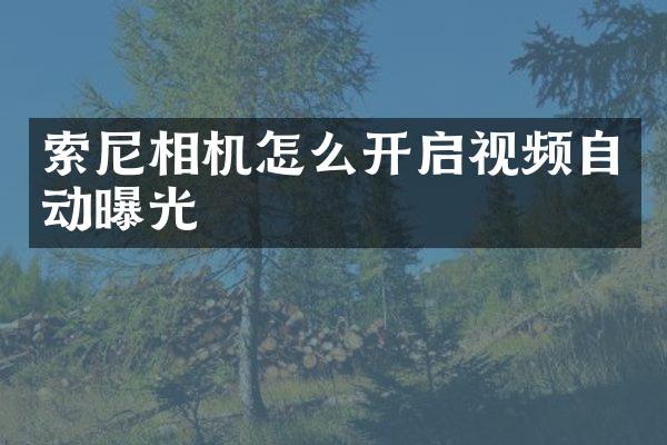 相机怎么开启视频自动曝光