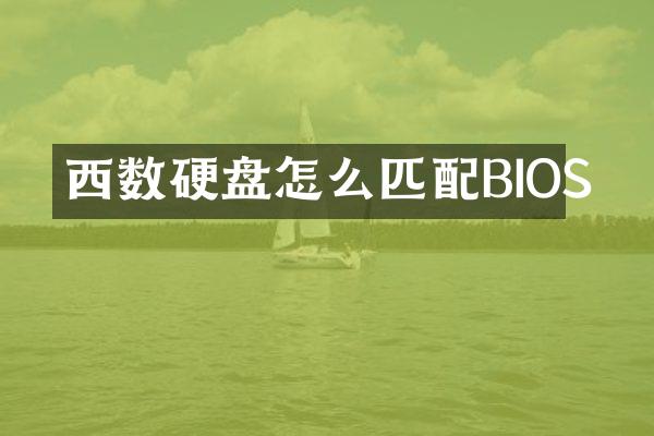 西数硬盘怎么匹配BIOS