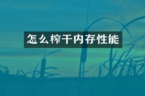 怎么榨干内存性能