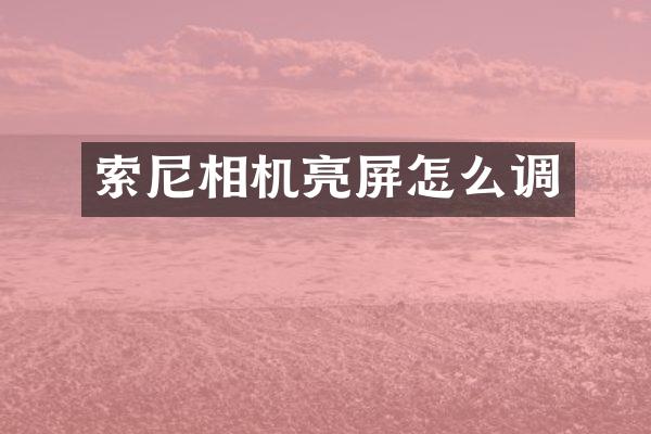 相机亮屏怎么调