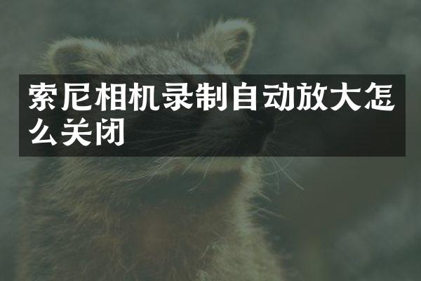 相机录制自动放大怎么关闭