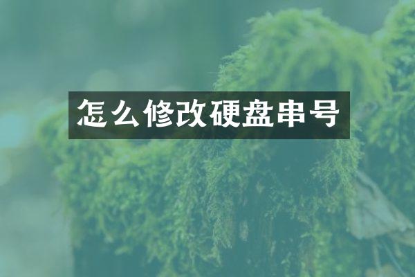 怎么修改硬盘串号