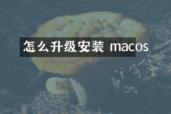 怎么升级安装 macos