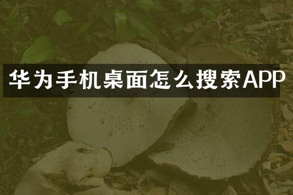 华为手机桌面怎么搜索APP