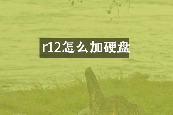 r12怎么加硬盘