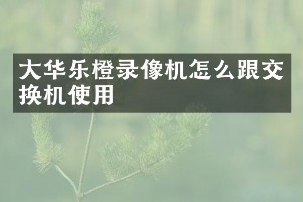 大华乐橙录像机怎么跟交换机使用