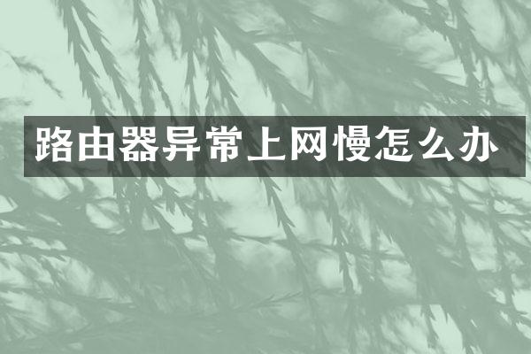 路由器异常上网慢怎么办