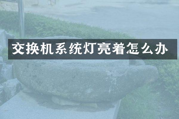 交换机系统灯亮着怎么办