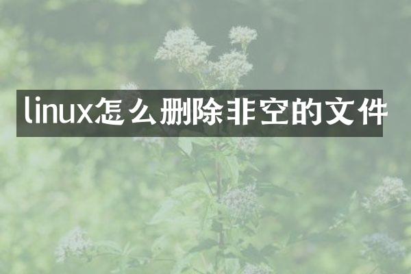 linux怎么删除非空的文件