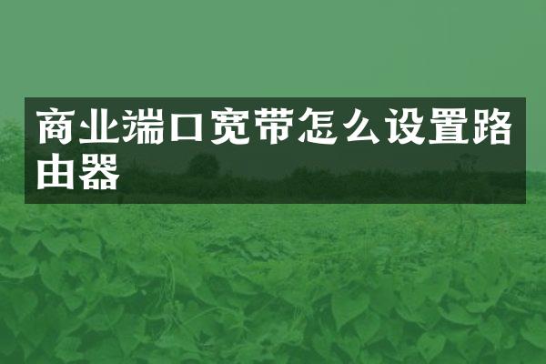 商业端口宽带怎么设置路由器