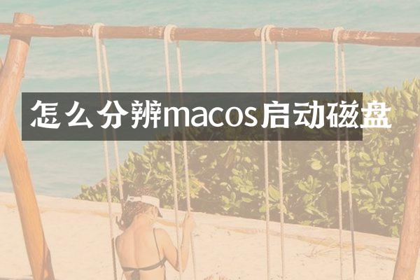 怎么分辨macos启动磁盘