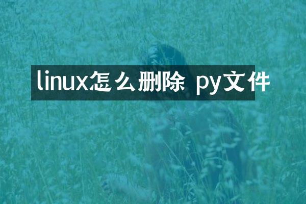 linux怎么删除 py文件